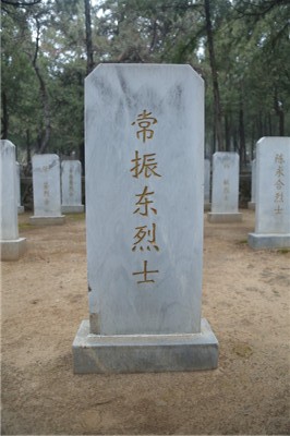 常振东