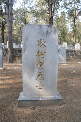 耿树贺