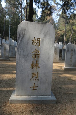 胡宗林