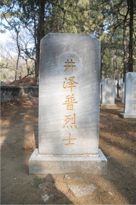 井泽普