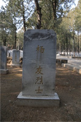 杨友