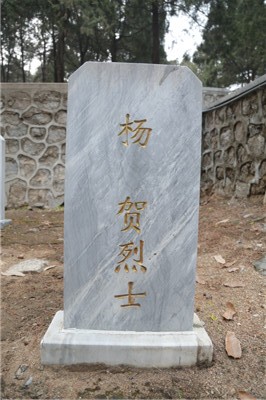 杨贺