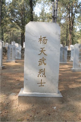杨天武