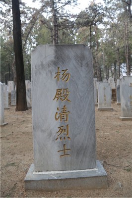 杨殿清