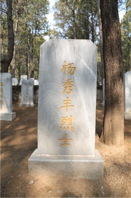 杨秀丰