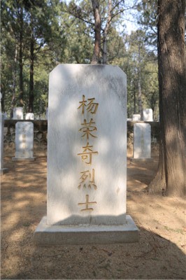 杨荣奇