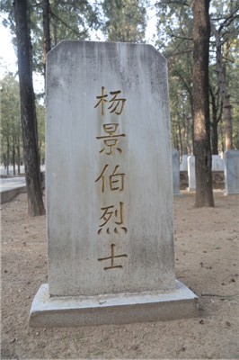 杨景伯