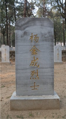 杨金成