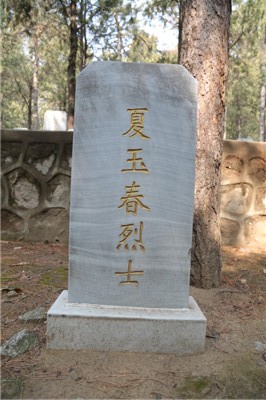 夏玉春