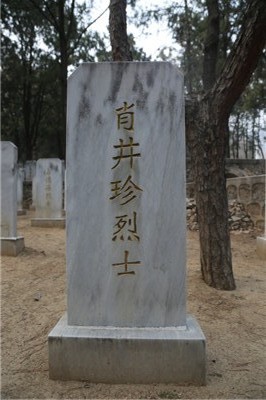 肖井珍