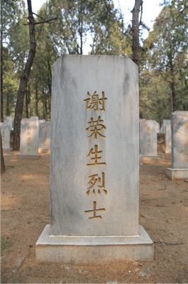 谢荣生