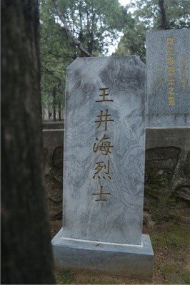 王井海