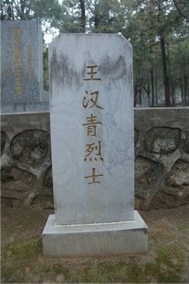 王汉青