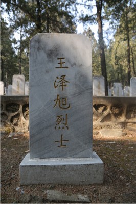 王泽旭
