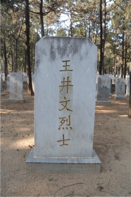 王井文