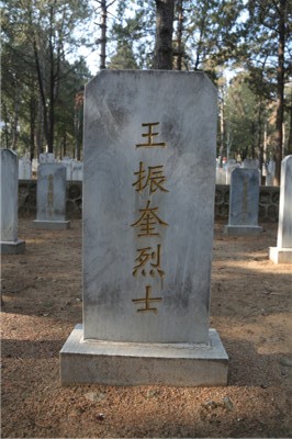 王振奎