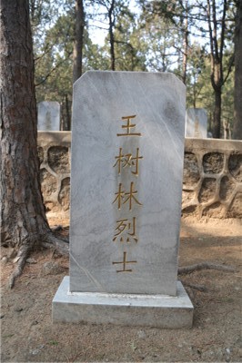 王树林