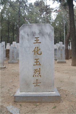 王化玉
