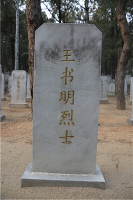 王书明