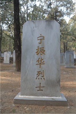 宁振华