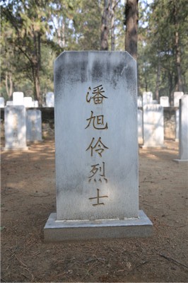 潘旭伶