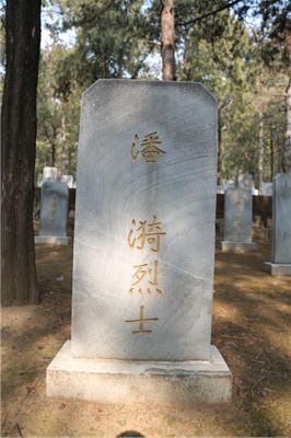 潘漪