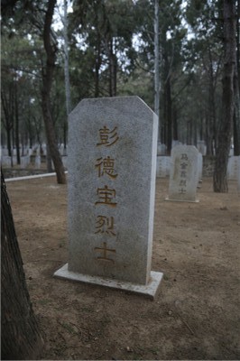 彭德宝