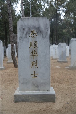 秦顺华