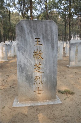 王敬芝