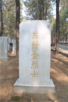 苏付全