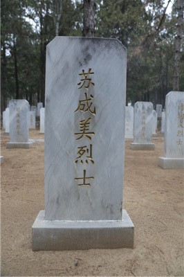 苏成美