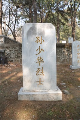 孙少华
