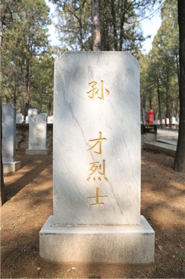 孙才