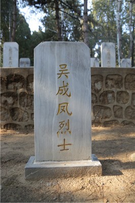 吴成凤