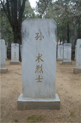 孙术