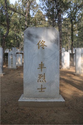 佟丰