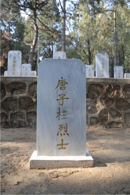 唐子柱