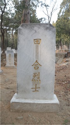 田合