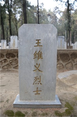 王维义