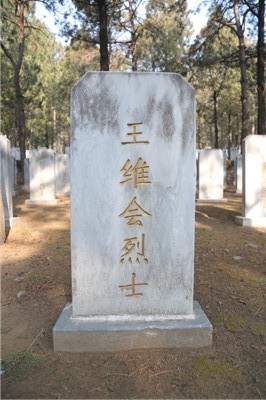 王维会