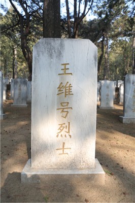 王维号