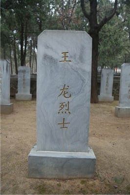 王龙