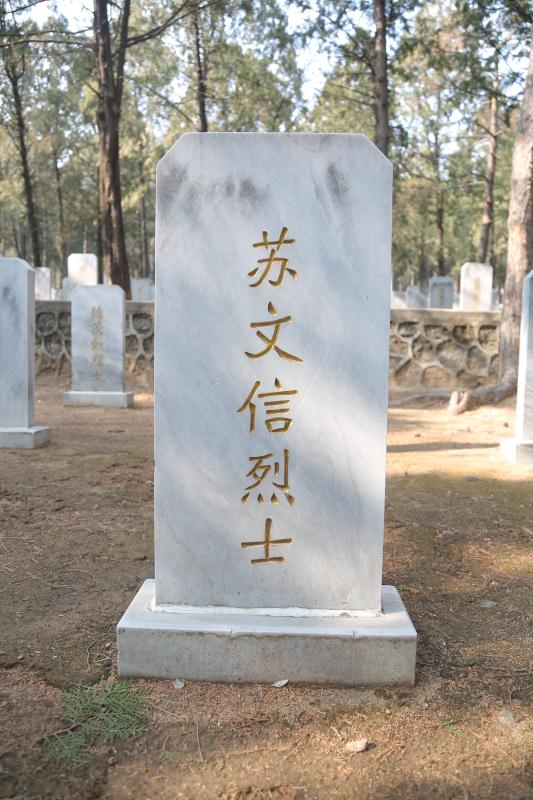 苏文信